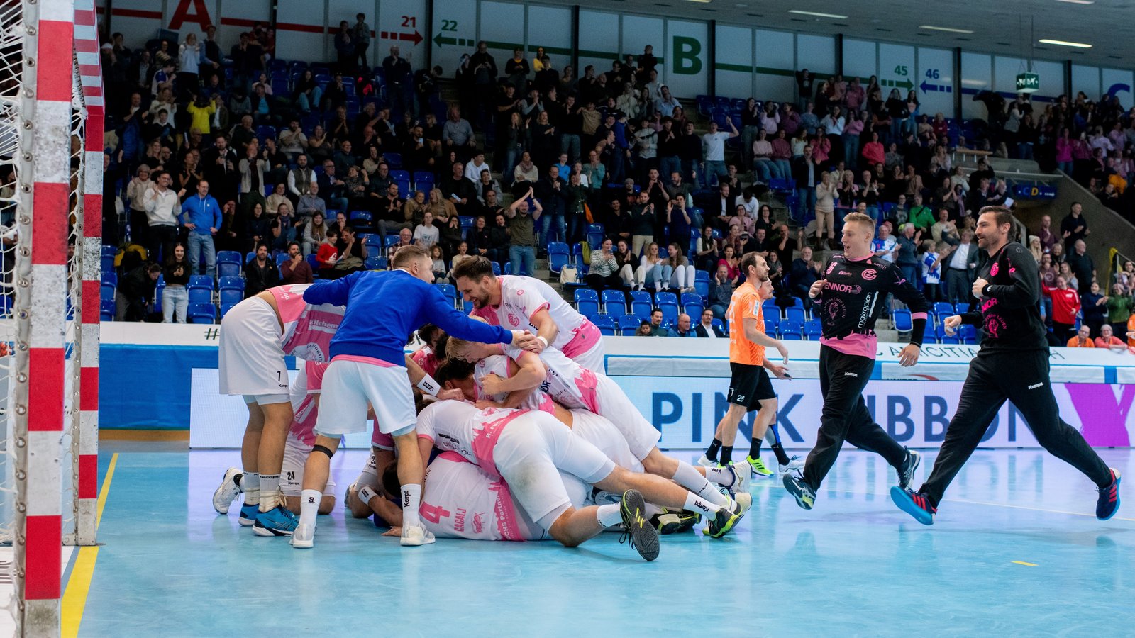 QHL: Eine magische Handballnacht in pink