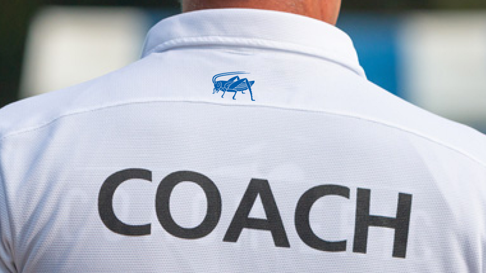 Trainer:in gesucht für GC Unihockey – Nachwuchsteams U14B & U16B