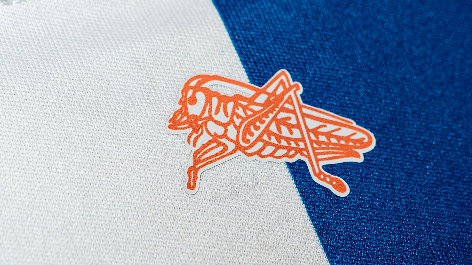 Offizielles Statement der Grasshopper Fussball AG